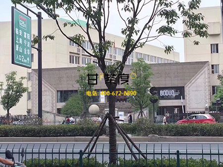 2017甘茶度奶茶店店店店店店加盟总部——奇异鸟九月换新址奶茶培训较新情况