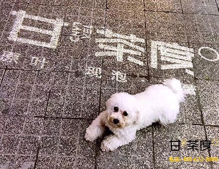 甘茶度加盟十几平方米就能开店创业