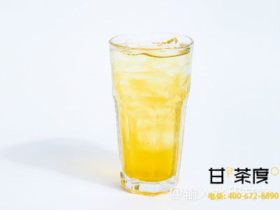 甘茶度夏季爆款