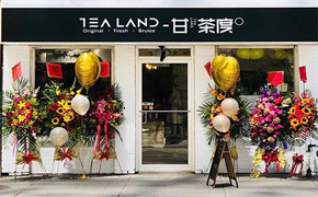 甘茶度北美起航（tealand cannada）多伦多