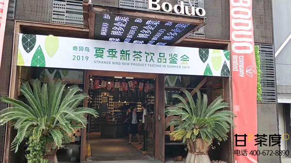 2019奇异鸟甘茶度茶饮品鉴会