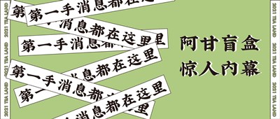 现场直击｜阿甘盲盒惊人内幕